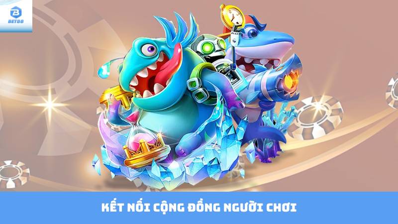 Bắn Cá Miễn Phí - Chơi Hết Mình, Thư Giãn Tuyệt Đối 4 Kết nối cộng đồng người chơi